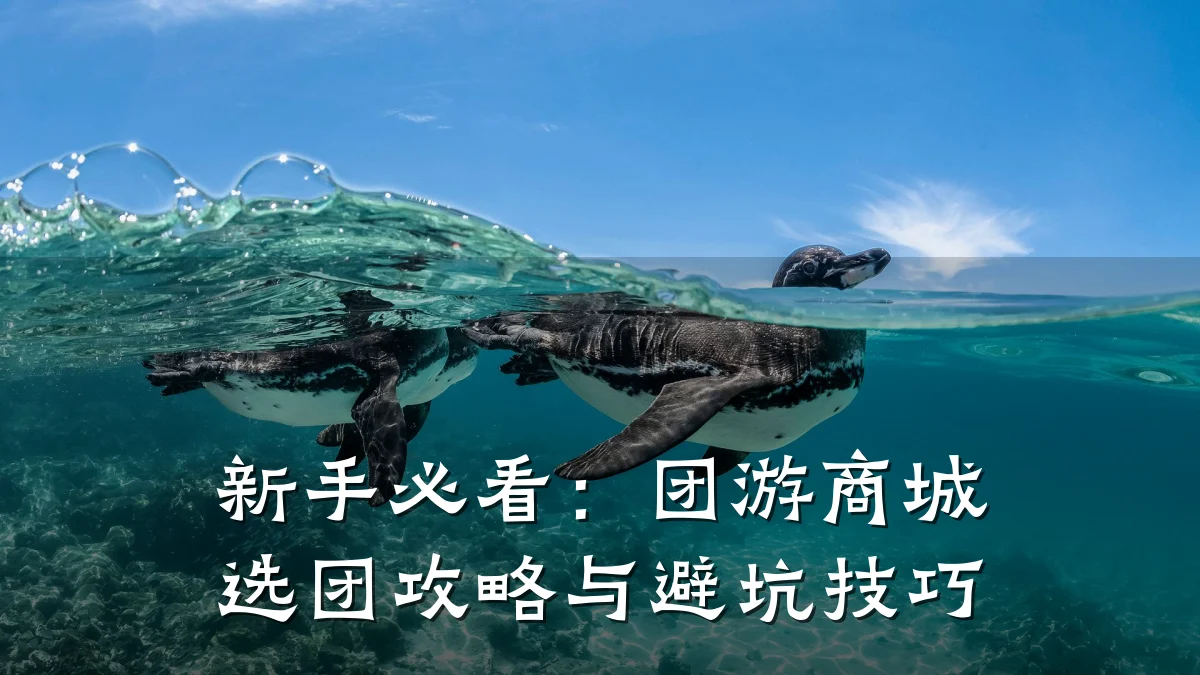 新手必看：团游商城选团攻略与避坑技巧
