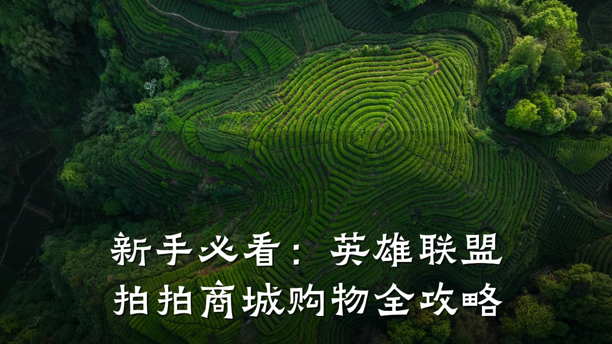 新手必看:英雄联盟拍拍商城购物全攻略