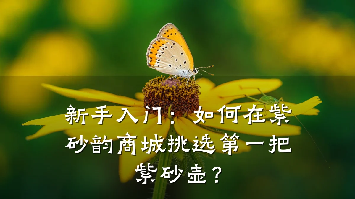 新手入门：如何在紫砂韵商城挑选第一把紫砂壶？