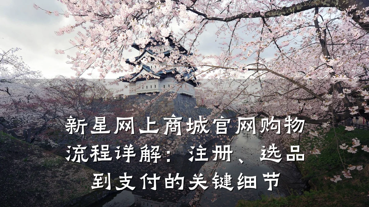 新星网上商城官网购物流程详解:注册、选品到支付的关键细节