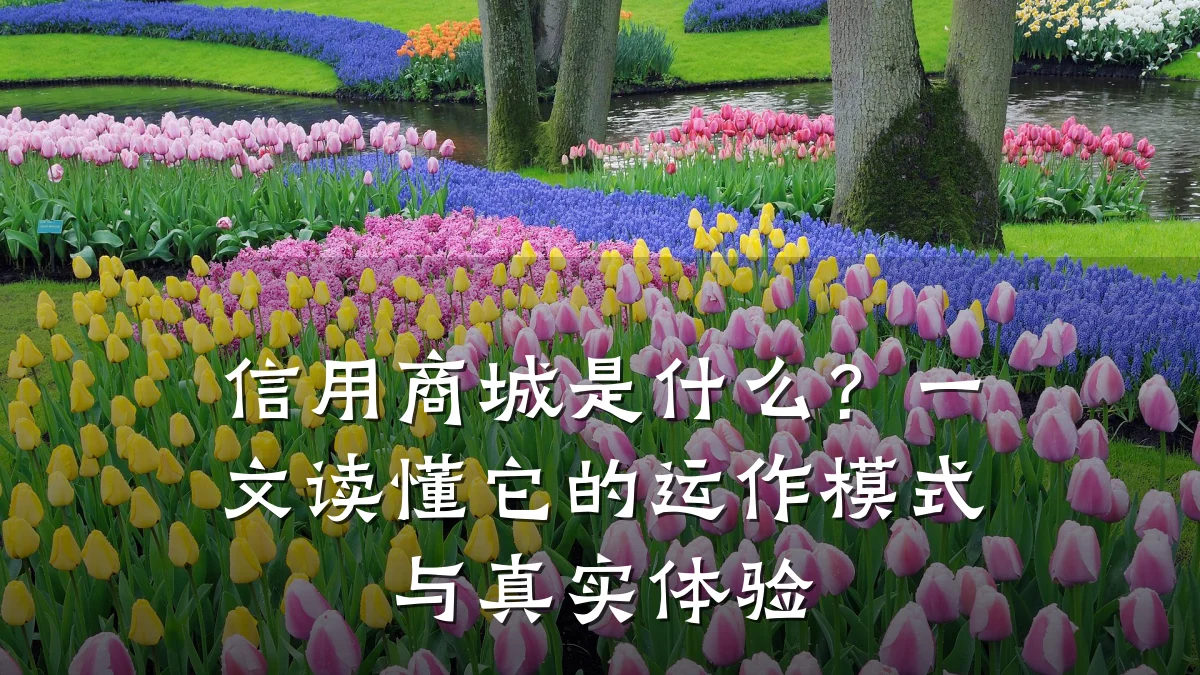 信用商城是什么？一文读懂它的运作模式与真实体验