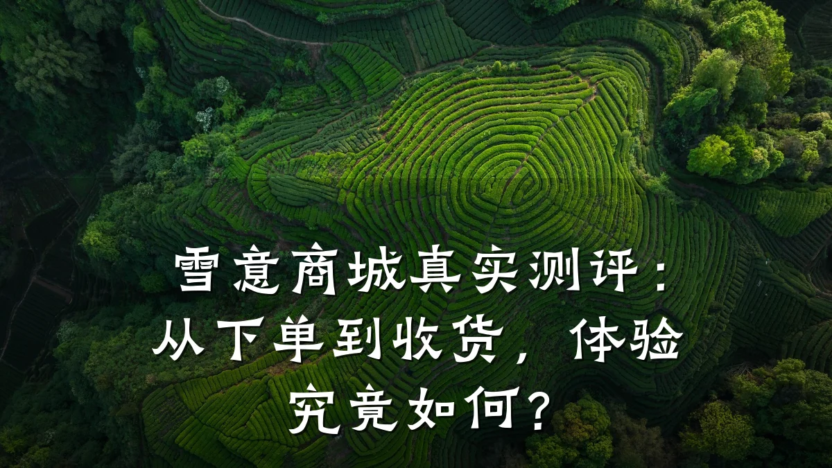 雪意商城真实测评:从下单到收货,体验究竟如何?