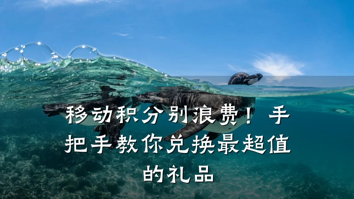 移动积分别浪费!手把手教你兑换最超值的礼品