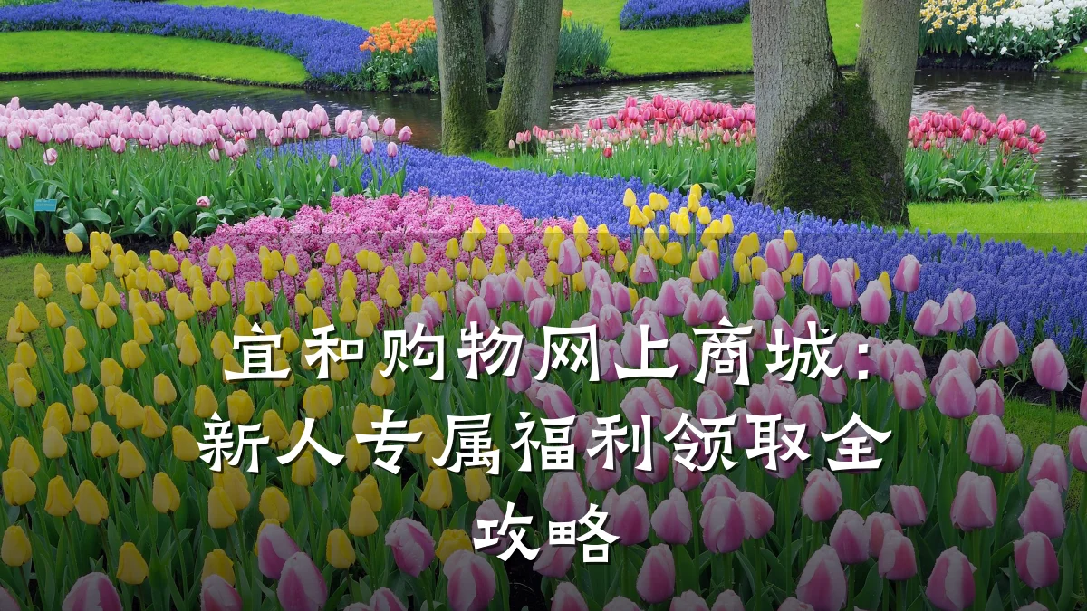 宜和购物网上商城:新人专属福利领取全攻略