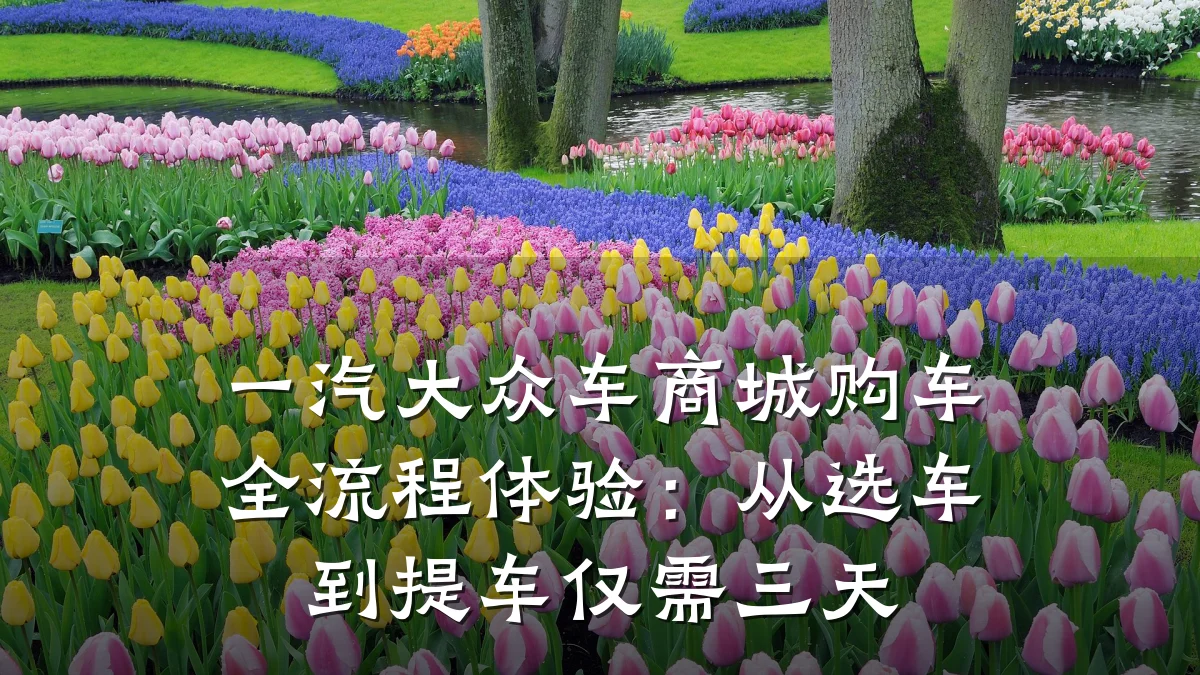 一汽大众车商城购车全流程体验：从选车到提车仅需三天