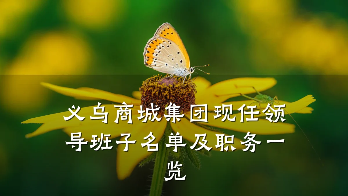 义乌商城集团现任领导班子名单及职务一览