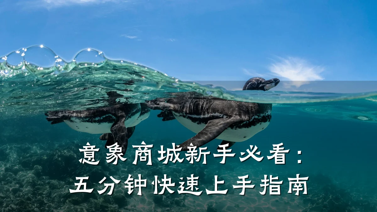 意象商城新手必看:五分钟快速上手指南