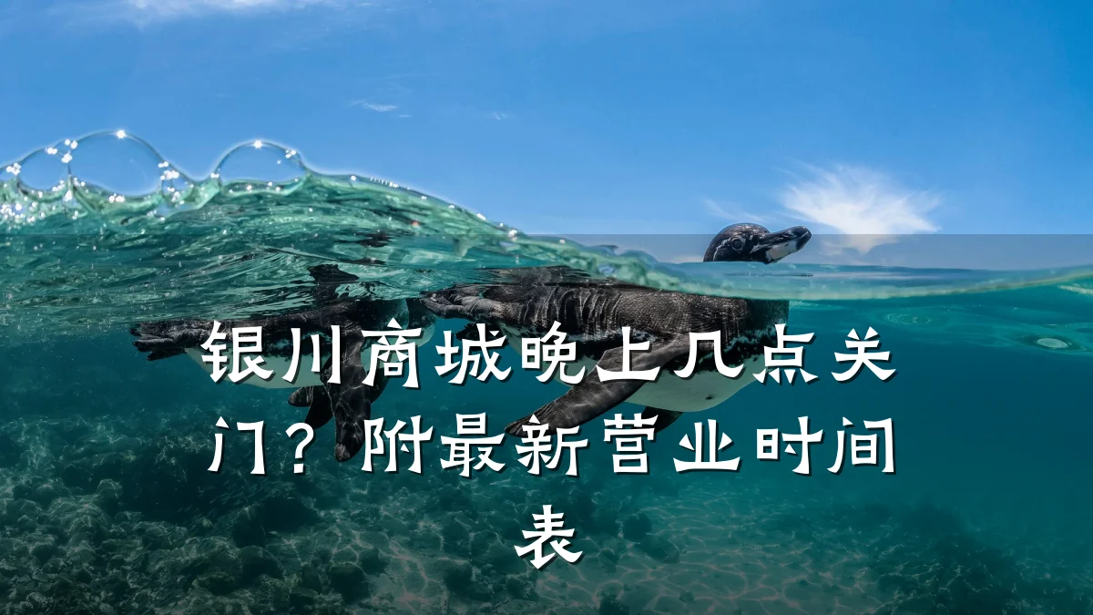 银川商城晚上几点关门？附最新营业时间表