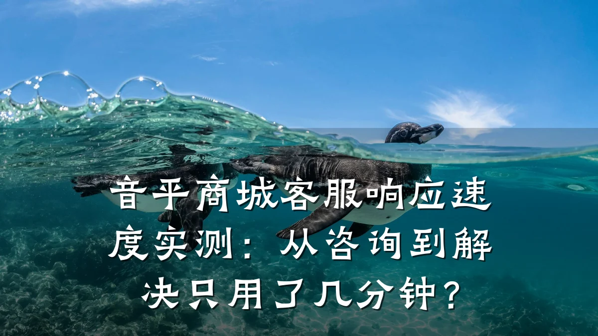 音平商城客服响应速度实测：从咨询到解决只用了几分钟？