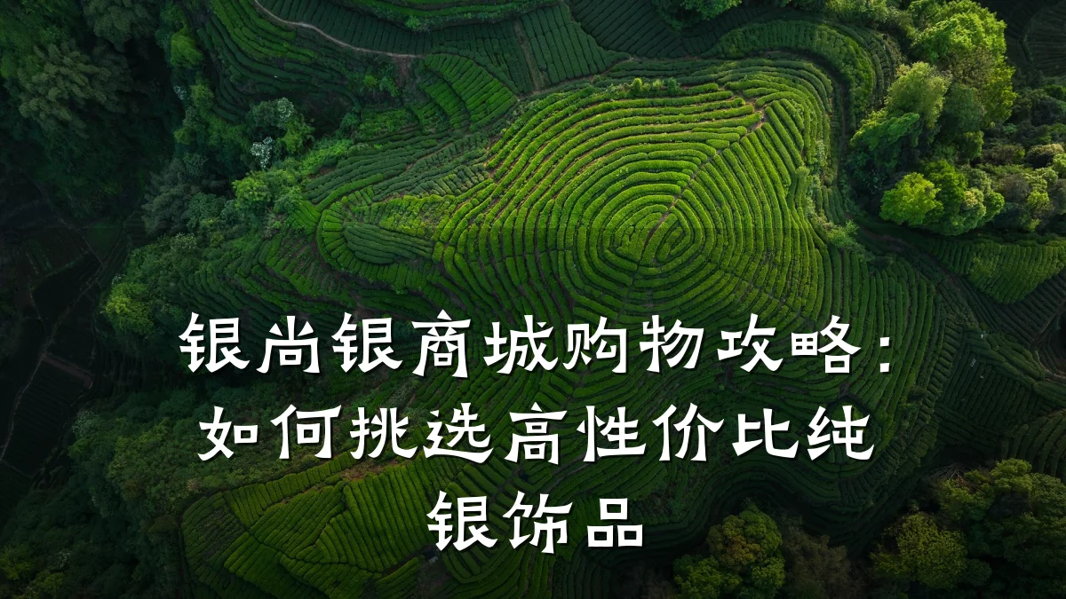 银尚银商城购物攻略：如何挑选高性价比纯银饰品