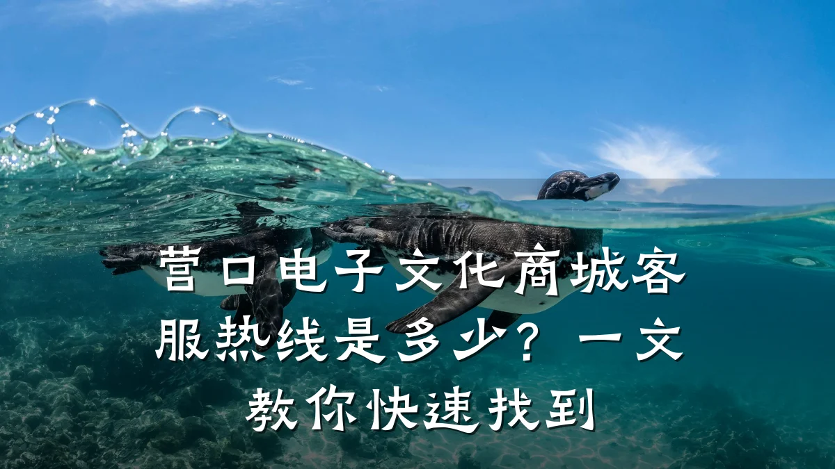 营口电子文化商城客服热线是多少?一文教你快速找到