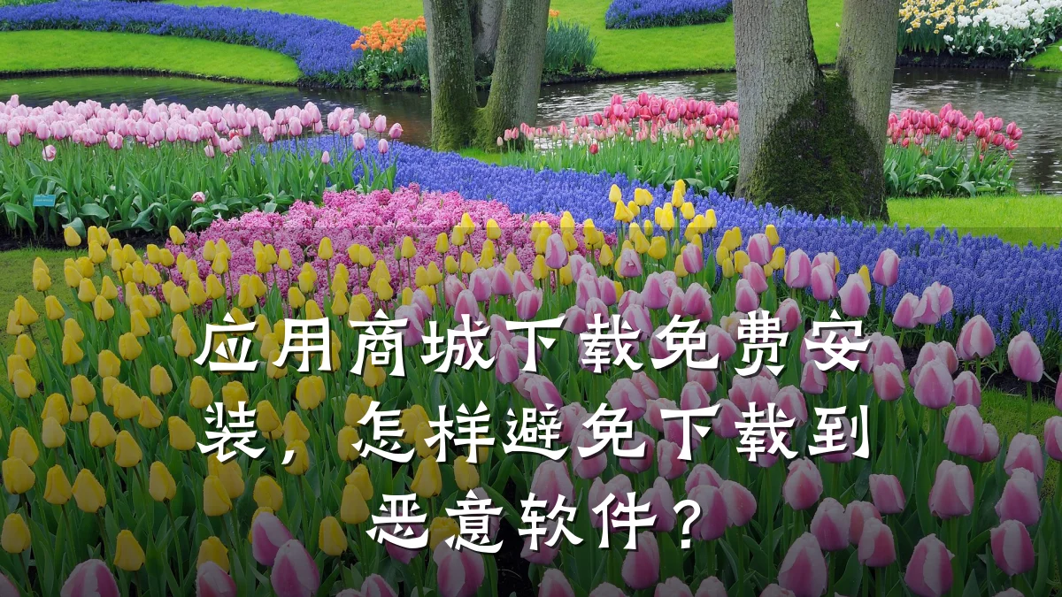 应用商城下载免费安装,怎样避免下载到恶意软件?