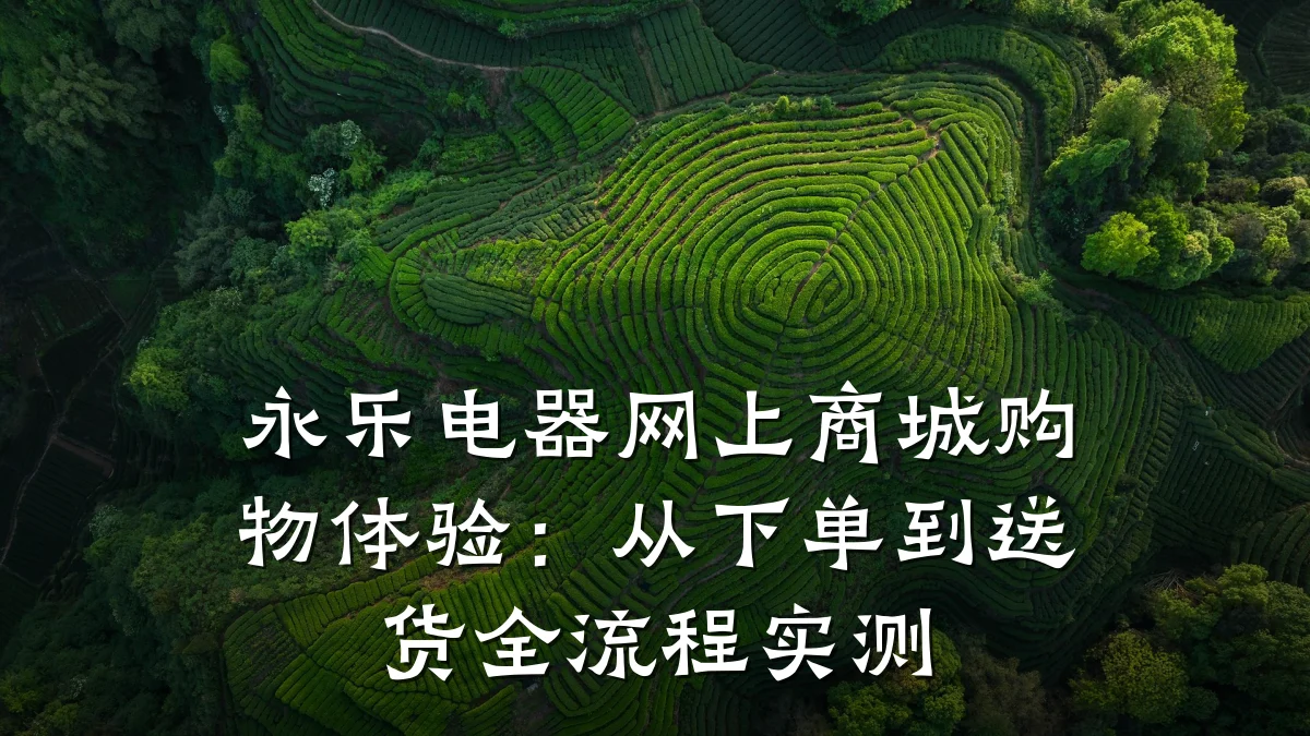 永乐电器网上商城购物体验:从下单到送货全流程实测