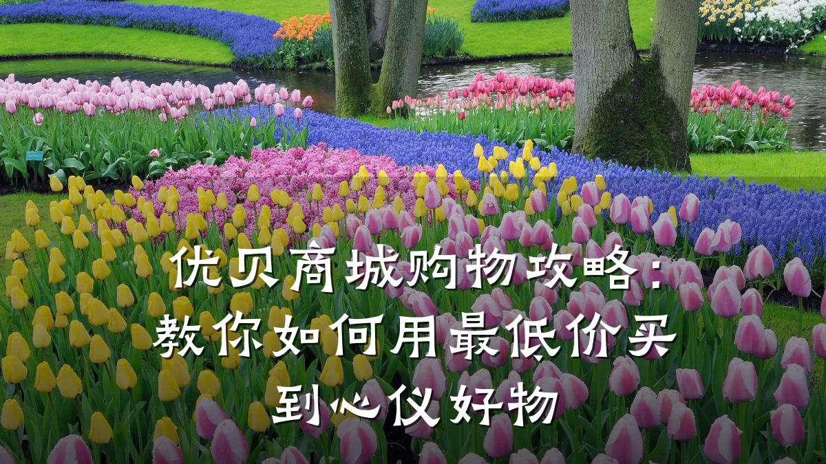 优贝商城购物攻略:教你如何用最低价买到心仪好物