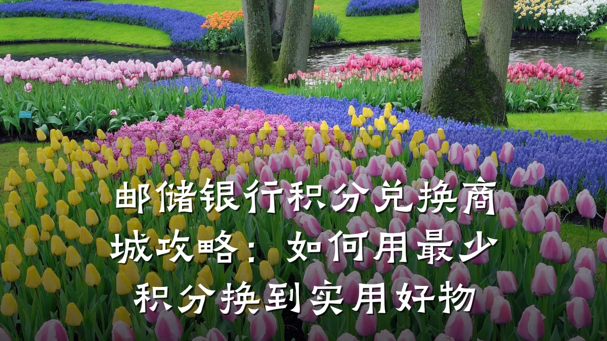 邮储银行积分兑换商城攻略：如何用最少积分换到实用好物