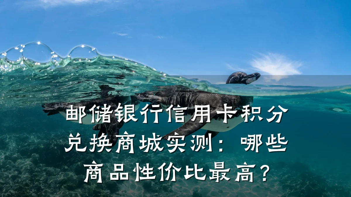 邮储银行信用卡积分兑换商城实测:哪些商品性价比最高?