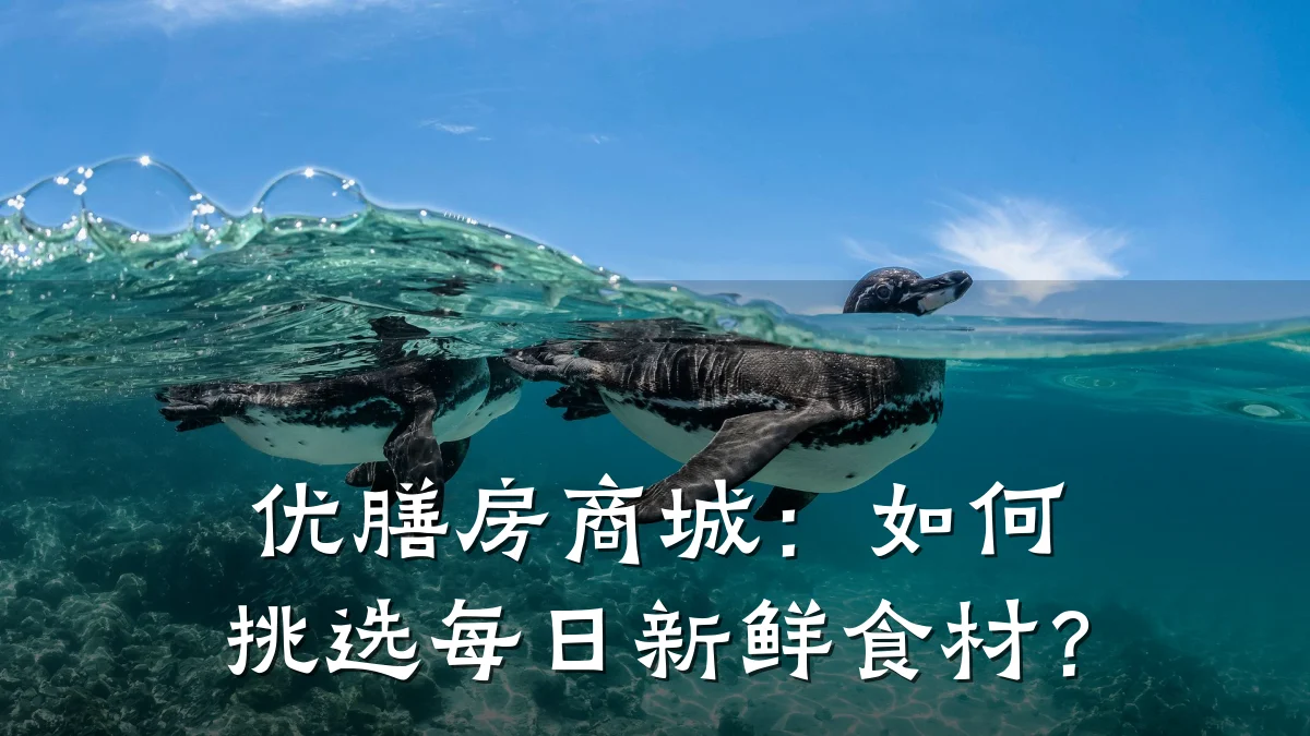 优膳房商城：如何挑选每日新鲜食材？