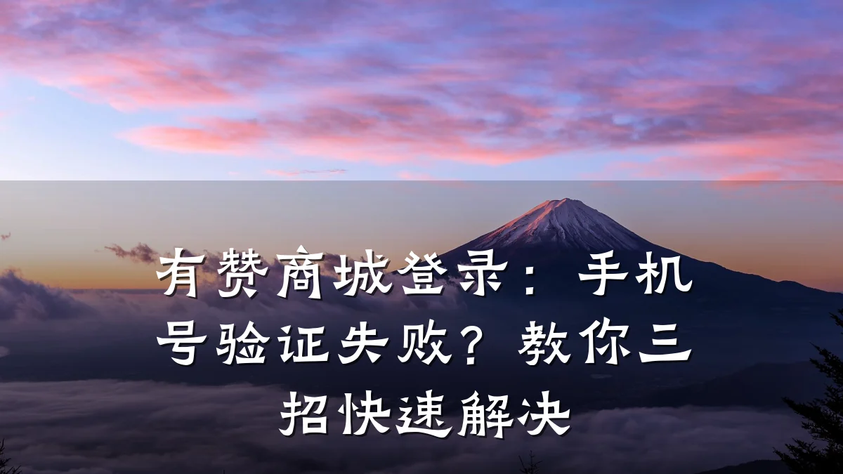 有赞商城登录：手机号验证失败？教你三招快速解决
