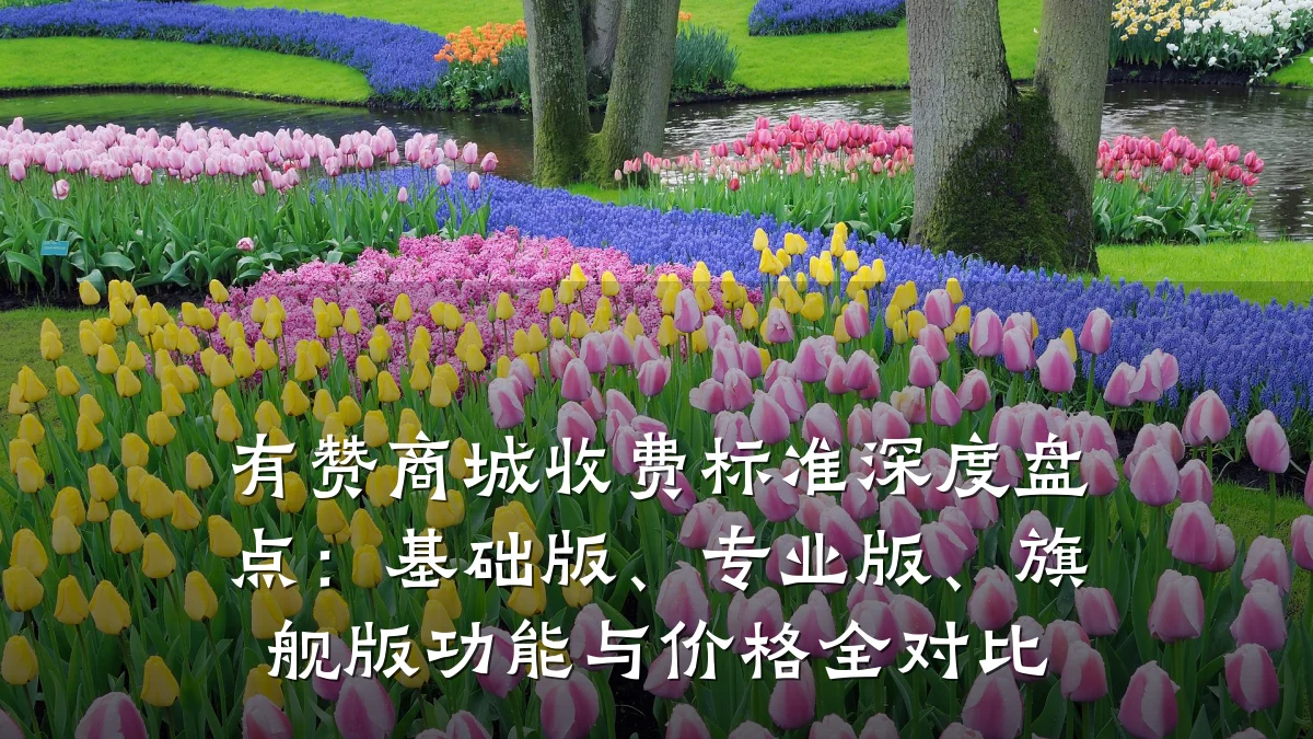 有赞商城收费标准深度盘点:基础版、专业版、旗舰版功能与价格全对比