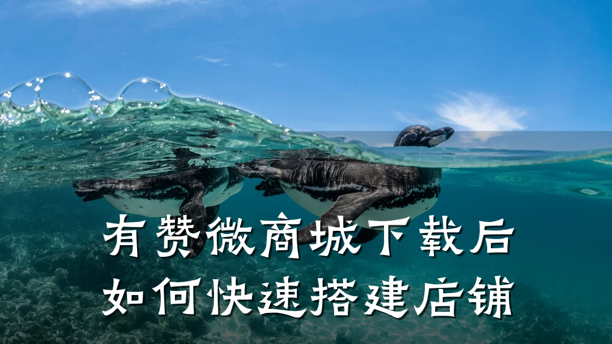 有赞微商城下载后如何快速搭建店铺