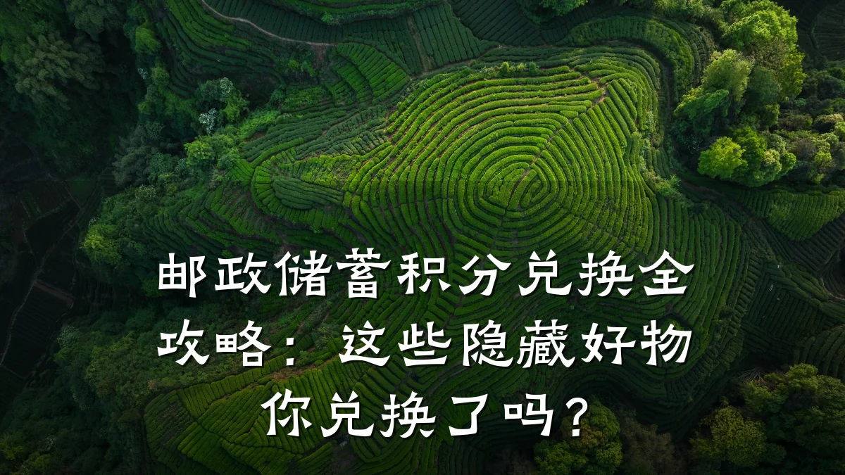 邮政储蓄积分兑换全攻略：这些隐藏好物你兑换了吗？