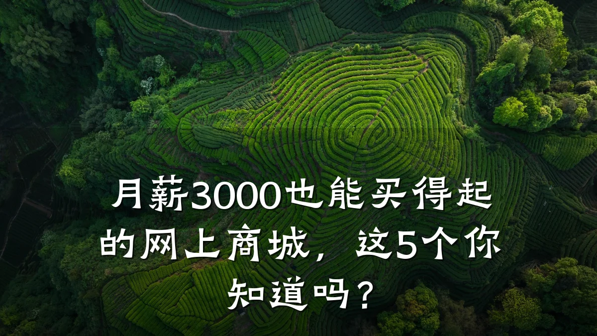月薪3000也能买得起的网上商城，这5个你知道吗？