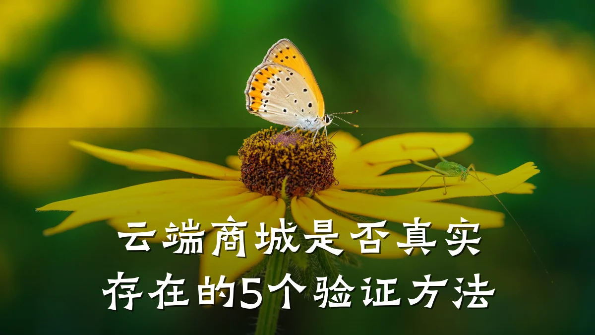 云端商城是否真实存在的5个验证方法