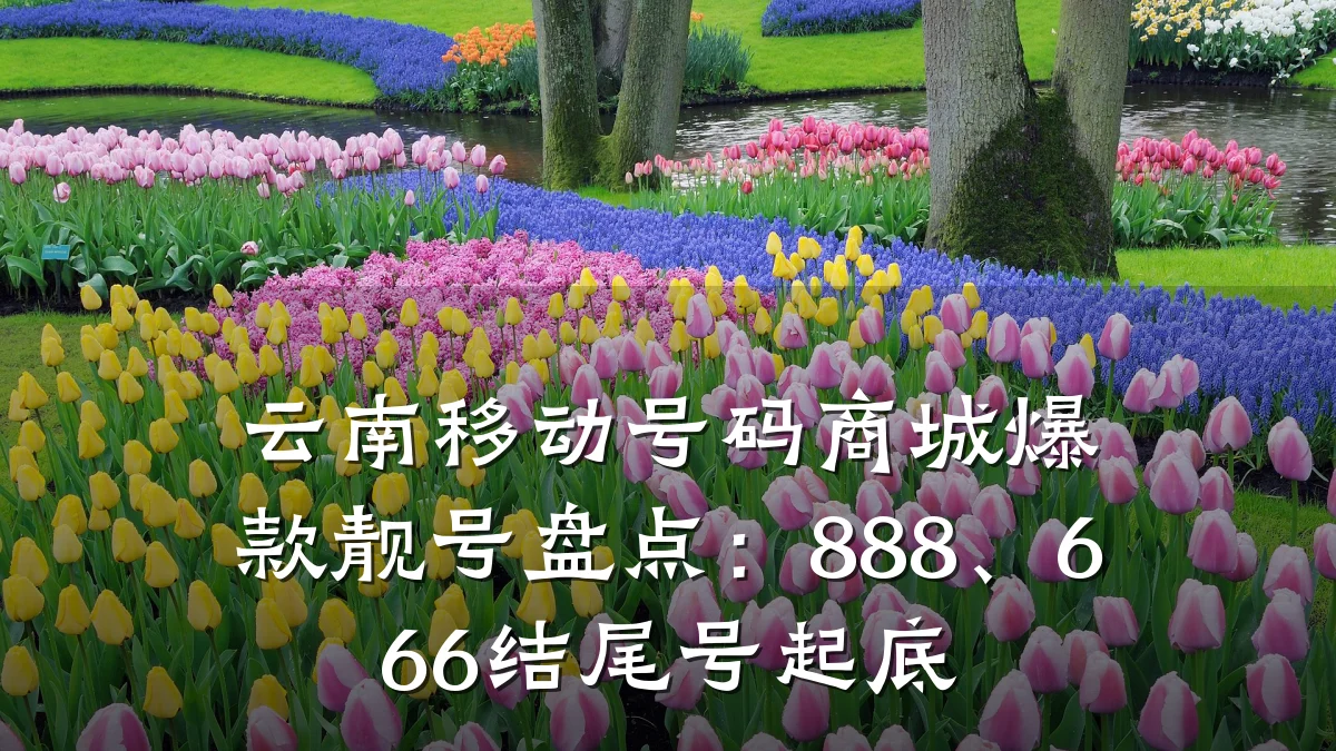 云南移动号码商城爆款靓号盘点：888、666结尾号起底