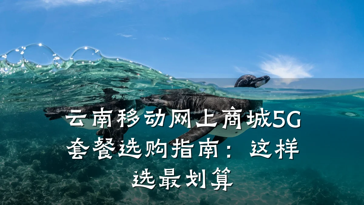 云南移动网上商城5G套餐选购指南:这样选最划算