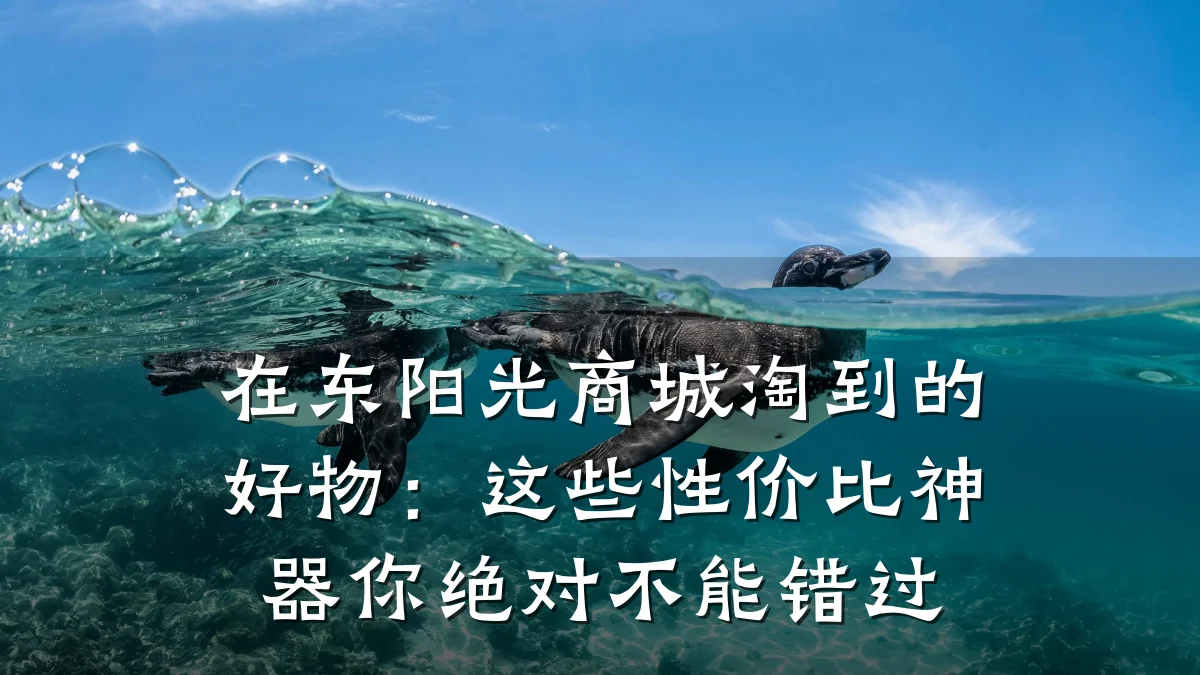 在东阳光商城淘到的好物:这些性价比神器你绝对不能错过