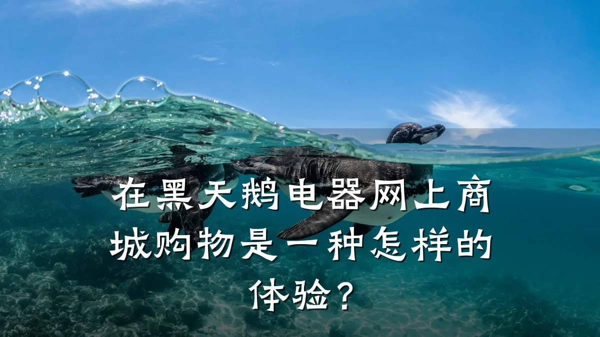 在黑天鹅电器网上商城购物是一种怎样的体验?