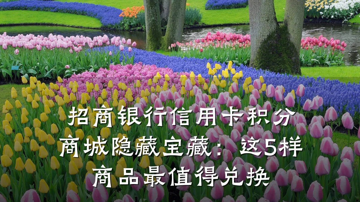 招商银行信用卡积分商城隐藏宝藏:这5样商品最值得兑换