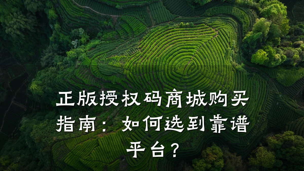 正版授权码商城购买指南：如何选到靠谱平台？