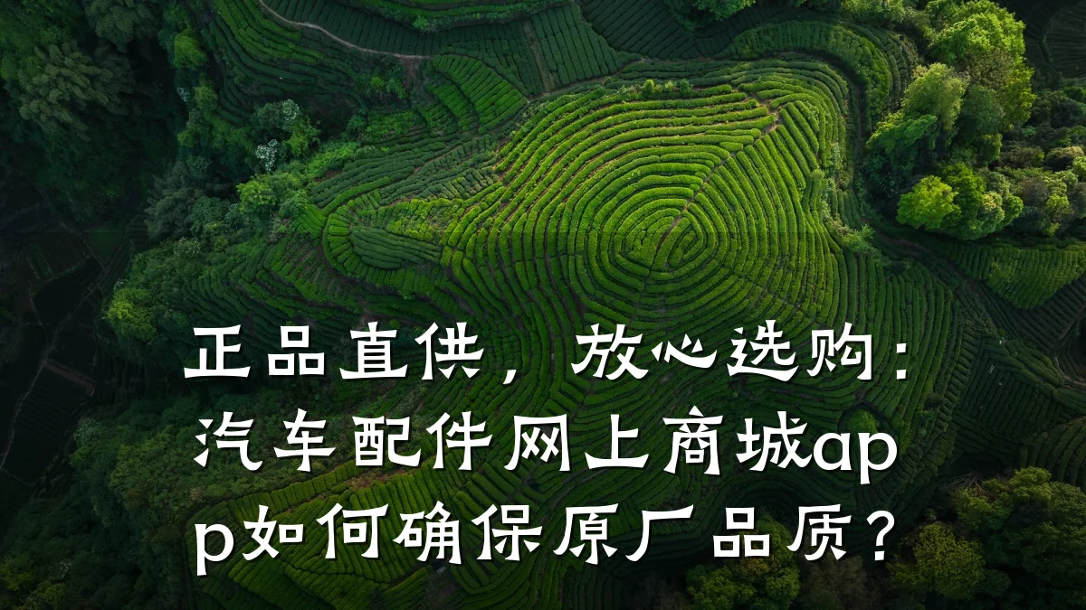 正品直供,放心选购:汽车配件网上商城app如何确保原厂品质?