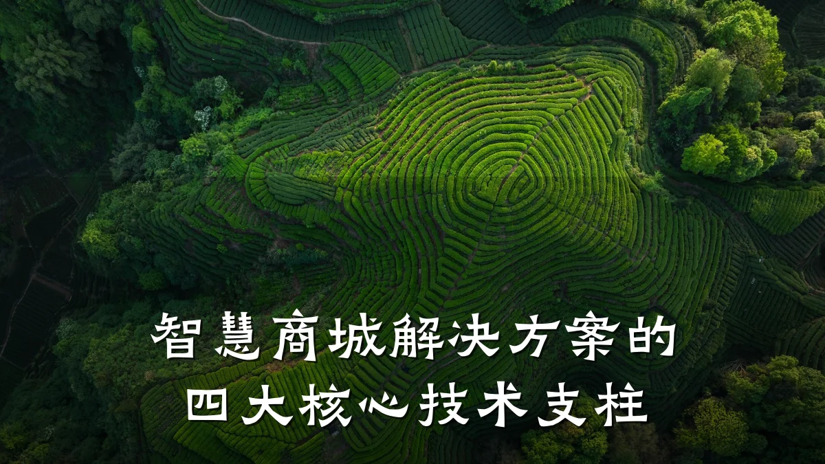 智慧商城解决方案的四大核心技术支柱