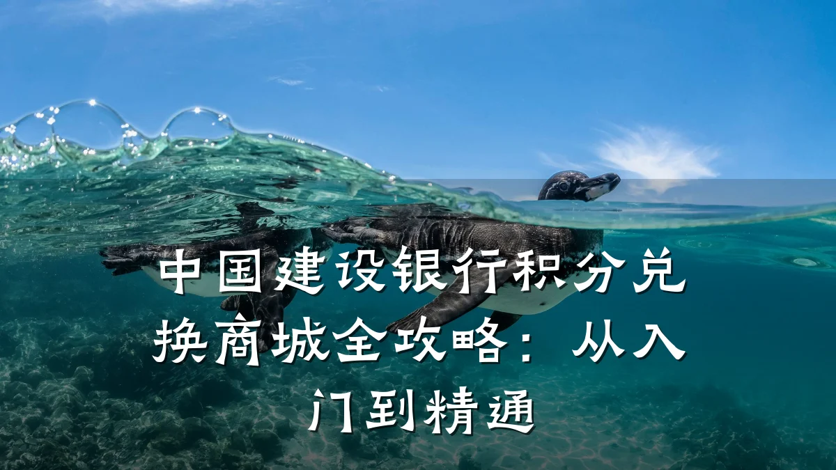中国建设银行积分兑换商城全攻略:从入门到精通