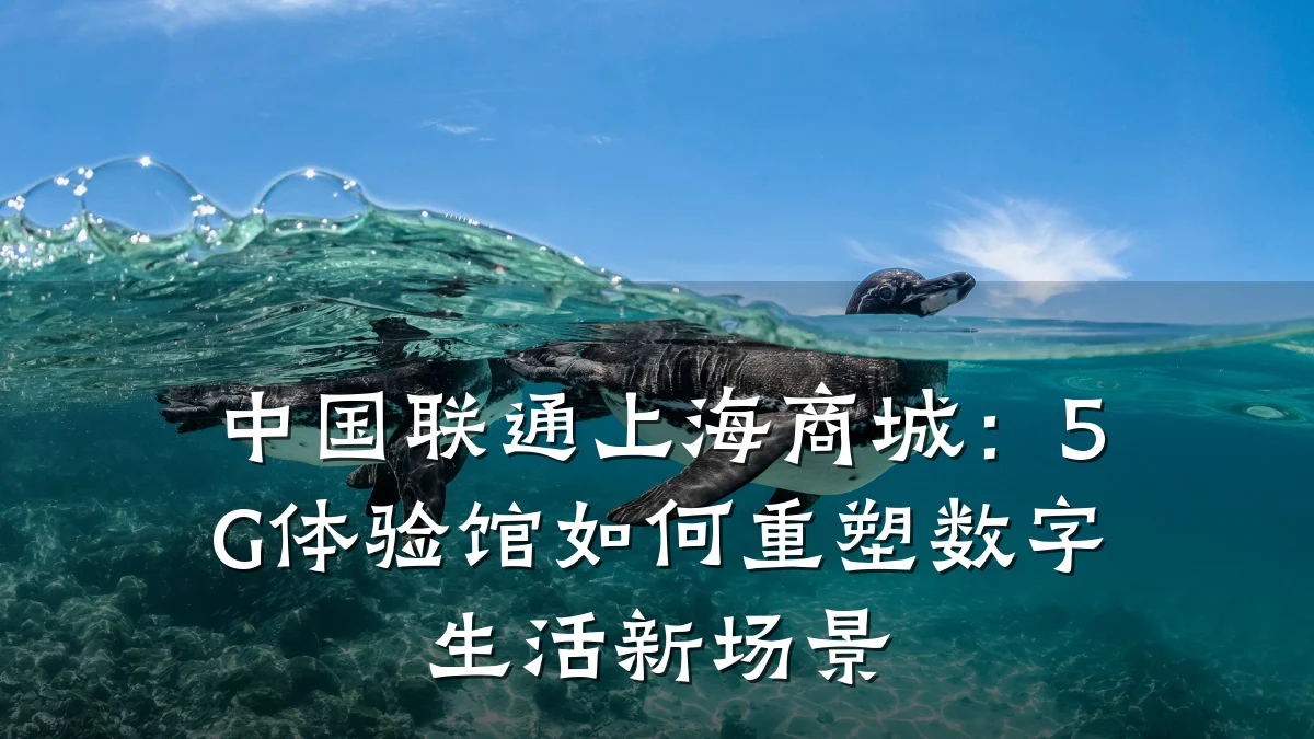 中国联通上海商城：5G体验馆如何重塑数字生活新场景