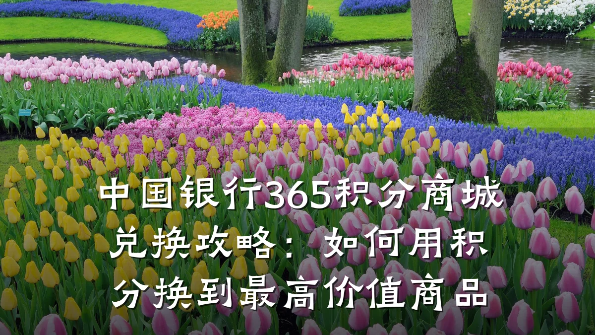 中国银行365积分商城兑换攻略:如何用积分换到最高价值商品