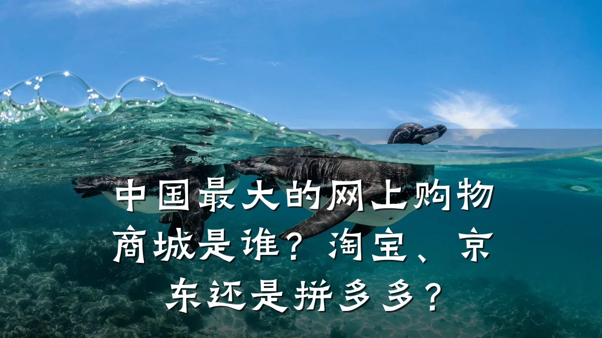 中国最大的网上购物商城是谁？淘宝、京东还是拼多多？