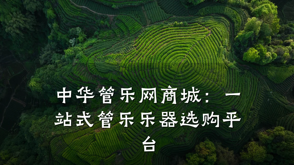 中华管乐网商城:一站式管乐乐器选购平台
