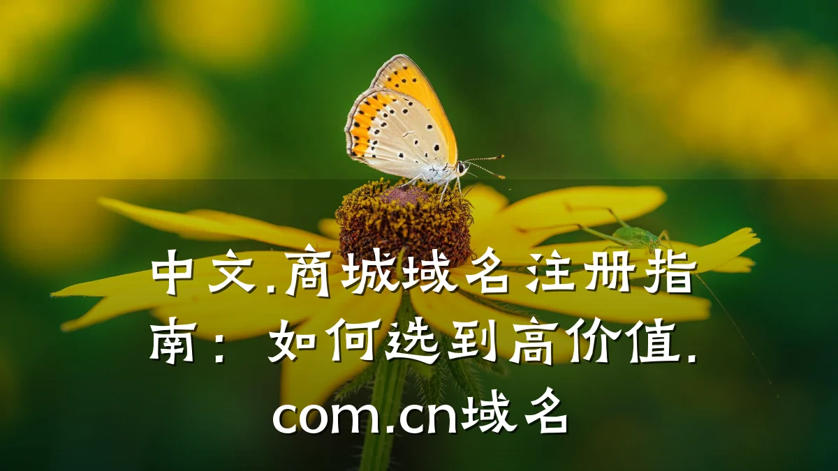中文.商城域名注册指南:如何选到高价值.com.cn域名
