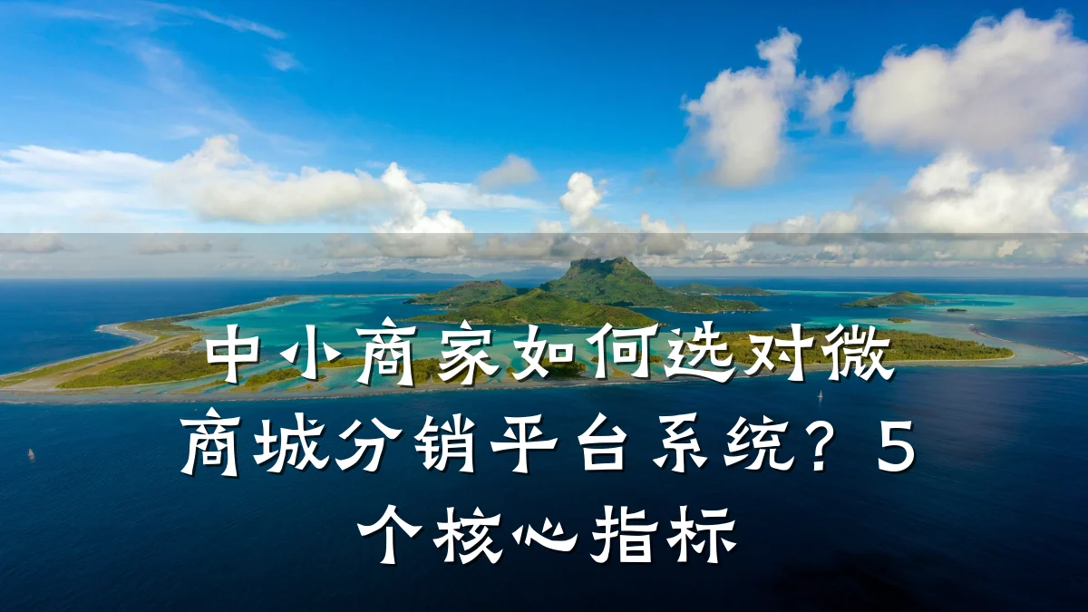 中小商家如何选对微商城分销平台系统?5个核心指标