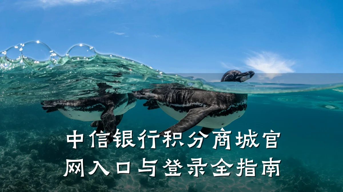 中信银行积分商城官网入口与登录全指南