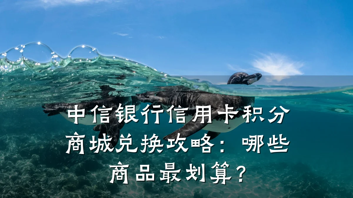 中信银行信用卡积分商城兑换攻略：哪些商品最划算？