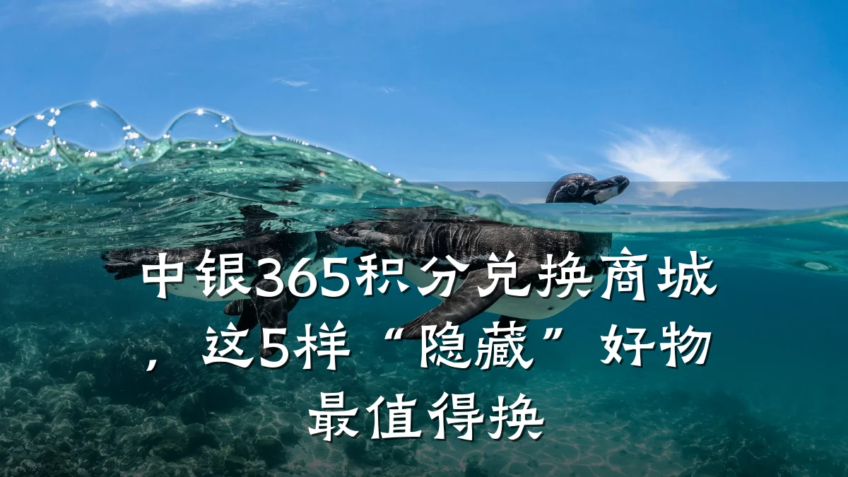 中银365积分兑换商城,这5样“隐藏”好物最值得换