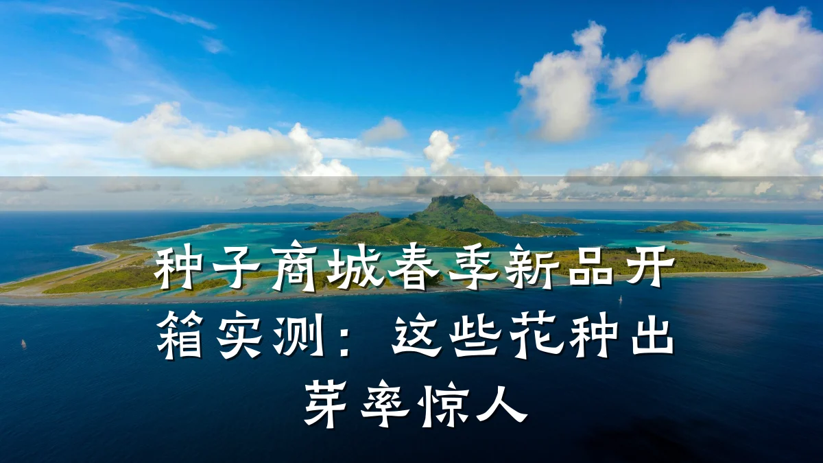 种子商城春季新品开箱实测：这些花种出芽率惊人