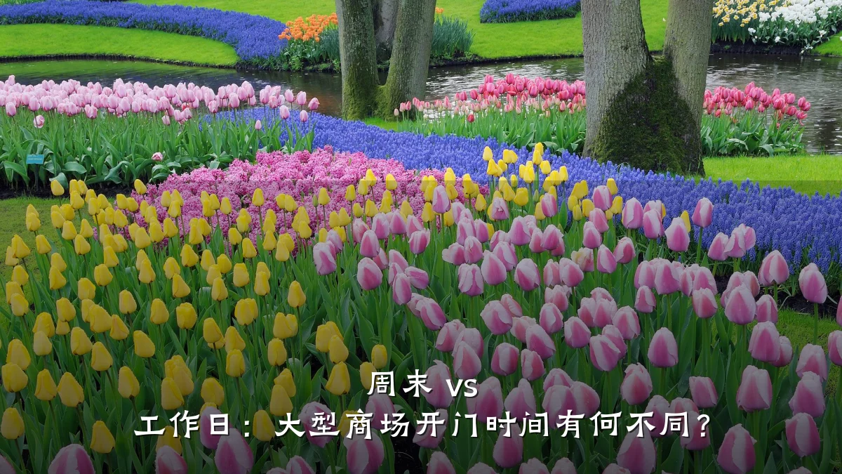 周末 vs 工作日:大型商场开门时间有何不同?