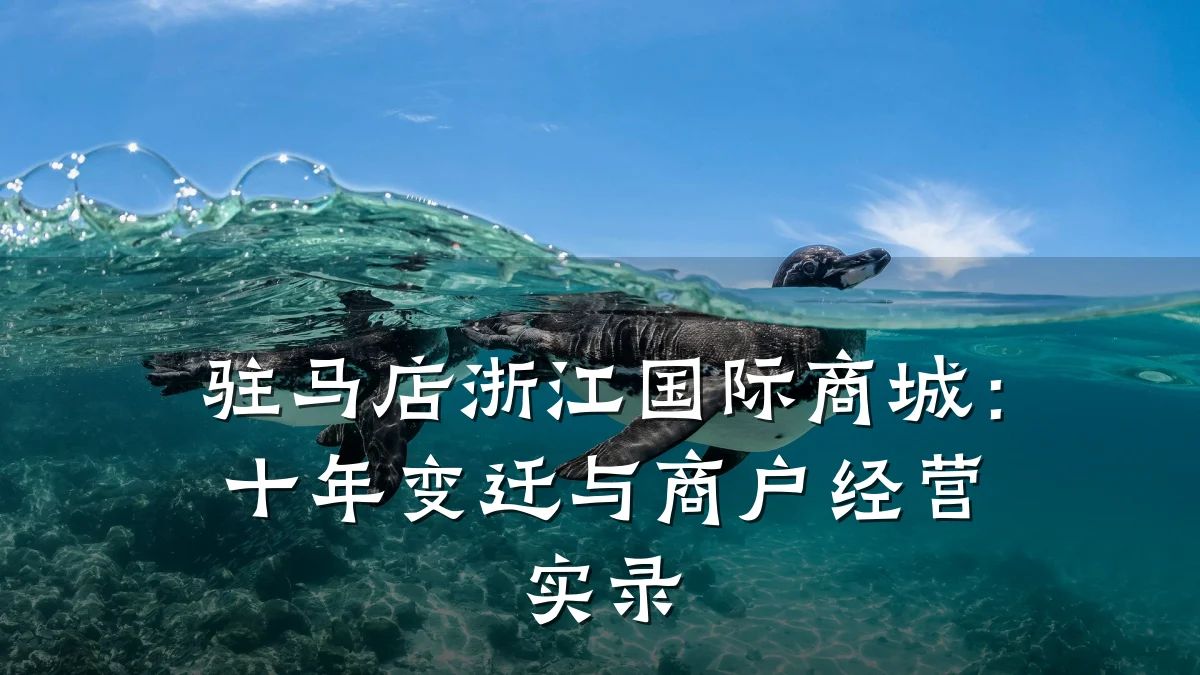 驻马店浙江国际商城：十年变迁与商户经营实录
