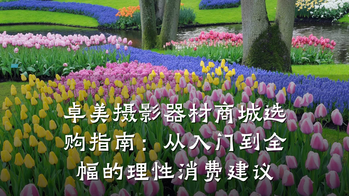 卓美摄影器材商城选购指南:从入门到全幅的理性消费建议