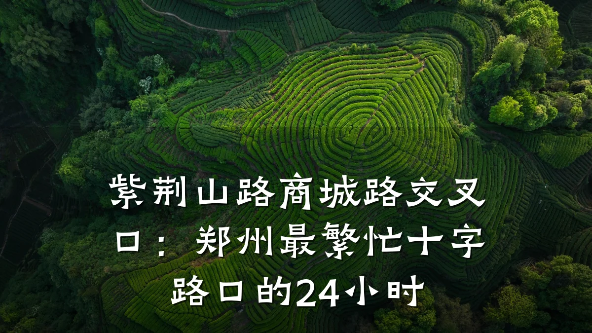 紫荆山路商城路交叉口：郑州最繁忙十字路口的24小时